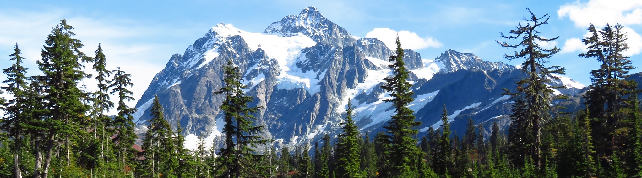 Mount rainier on a sunny day above a forest